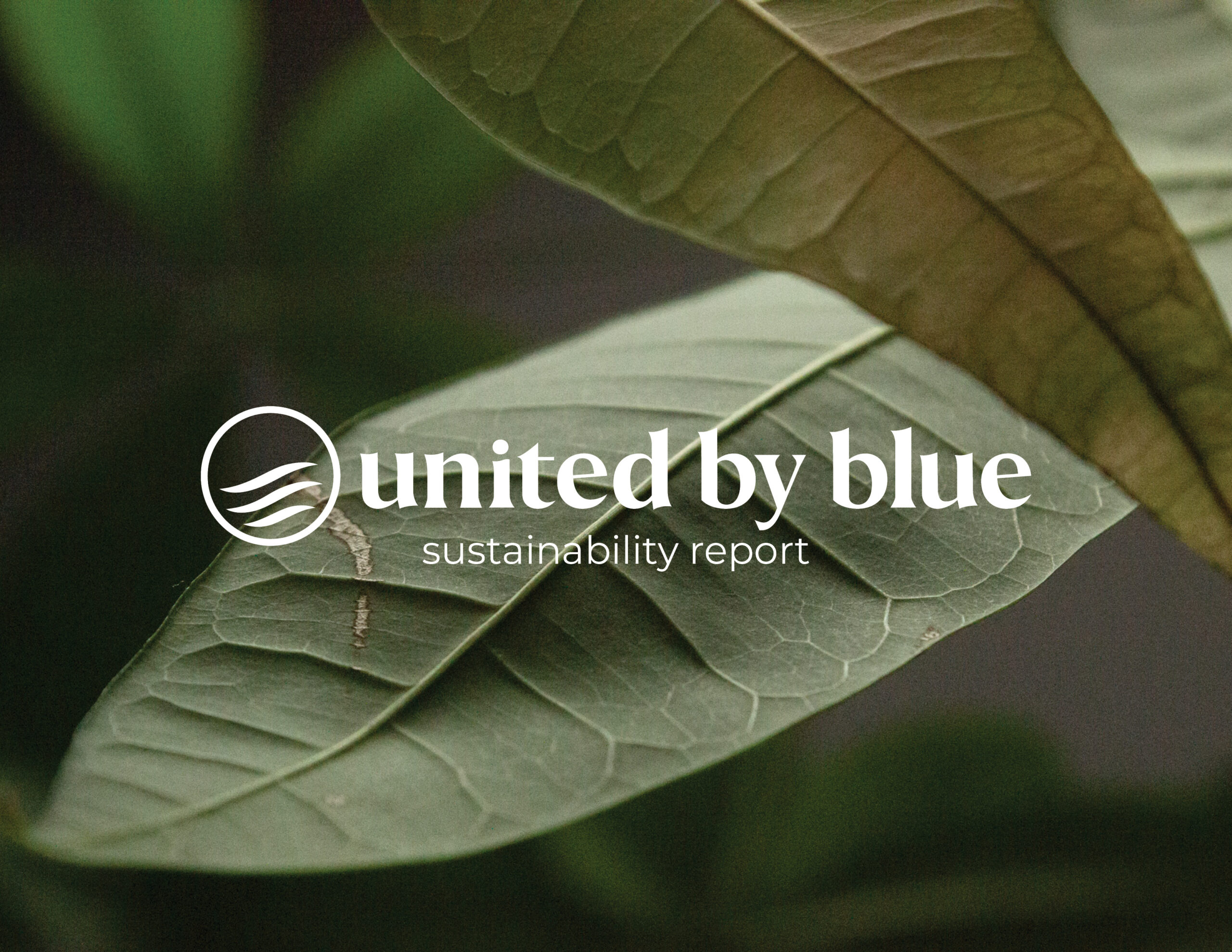 United By Blue